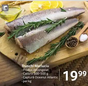 Selgros Trunchi Merluciu Ofertă