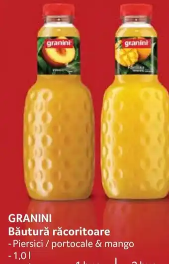 Selgros GRANINI Băutură răcoritoare Ofertă