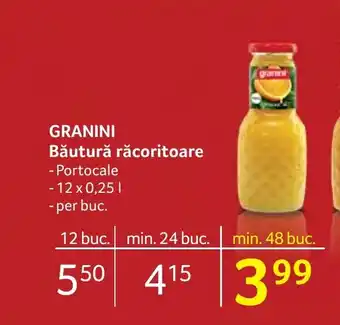 Selgros GRANINI Băutură răcoritoare Ofertă