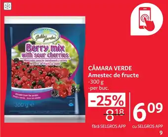 Selgros CĂMARA VERDE Amestec de fructe Ofertă
