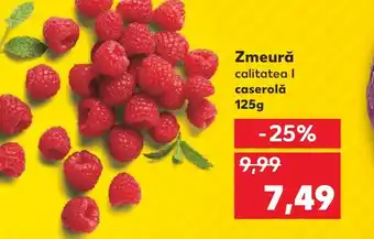 Kaufland Zmeură Ofertă