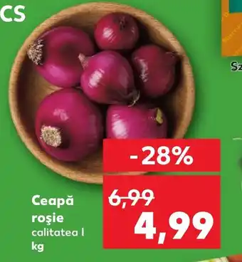 Kaufland Ceapă roşie Ofertă