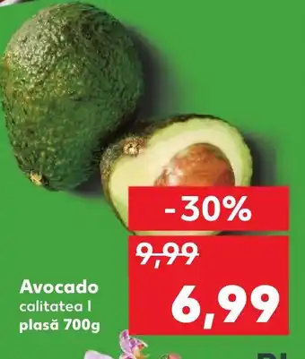 Kaufland Avocado Ofertă