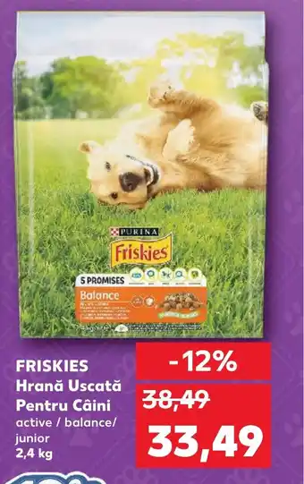Kaufland FRISKIES Hrană Uscată Pentru Câini Ofertă