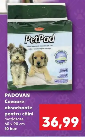 Kaufland PADOVAN Covoare absorbante pentru câini Ofertă