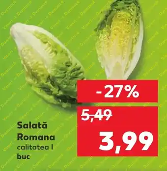 Kaufland Salată Romana Ofertă