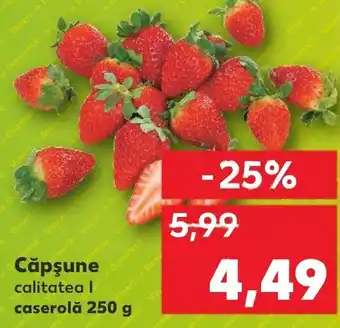 Kaufland Căpşune Ofertă