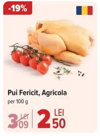 Carrefour Pui Fericit, Agricola Ofertă