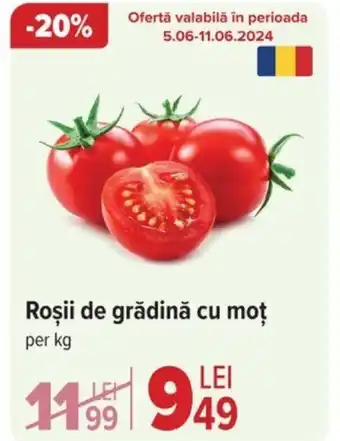 Roşii de grădină cu moţ