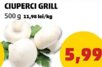 Penny CIUPERCI GRILL Ofertă