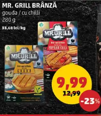 Penny MR. GRILL BRÂNZĂ Ofertă