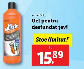 Lidl MR. MUSCLE Gel pentru desfundat ţevi Ofertă