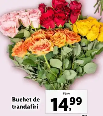 Lidl Buchet de trandafiri Ofertă