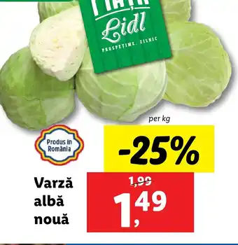 Lidl Varză albă nouă Ofertă
