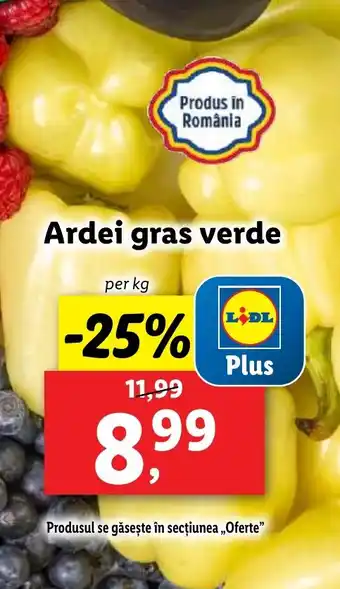 Lidl Ardei gras verde Ofertă