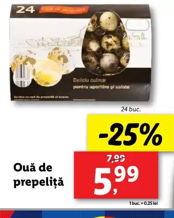 Lidl Ouǎ de prepeliţă Ofertă