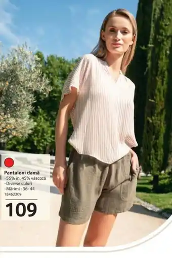 Selgros Pantaloni damă Ofertă