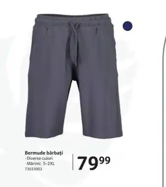 Selgros Bermude bărbați Ofertă