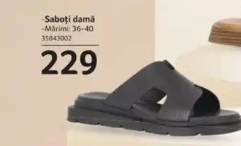 Selgros Saboți damă Ofertă