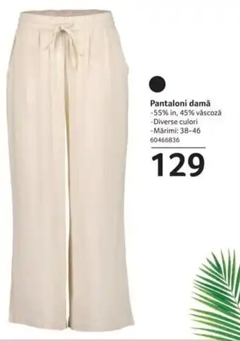 Selgros Pantaloni damǎ Ofertă