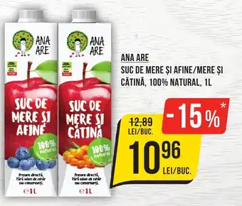 ANA ARE SUC DE MERE ȘI AFINE/MERE ȘI CĂTINĂ, 100% NATURAL, 1L