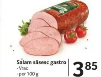 Selgros Salam săsesc gastro Ofertă