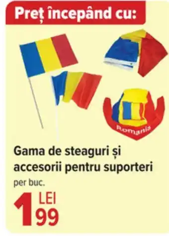 Carrefour Gama de steaguri și accesorii pentru suporteri Ofertă
