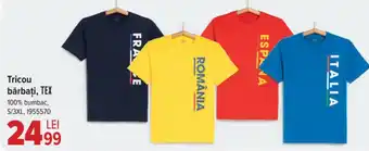 Carrefour Tricou bărbați, TEX Ofertă