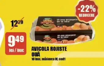 Auchan AVICOLA ROJISTE OUĂ Ofertă