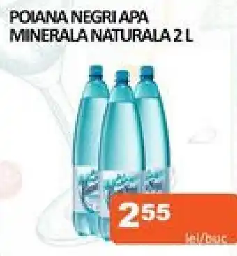 Unicarm POIANA NEGRI APA MINERALA NATURALA 2 L Ofertă
