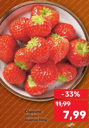 Kaufland Căpşune Ofertă