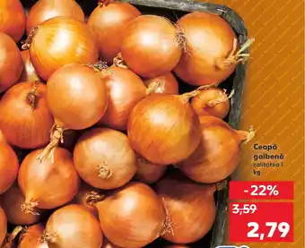 Kaufland Ceapă galbenă Ofertă