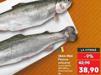 Kaufland TARA MEA Păstrav eviscerat Ofertă