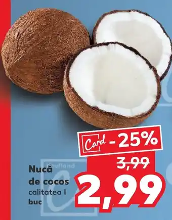 Kaufland Nucă de cocos Ofertă