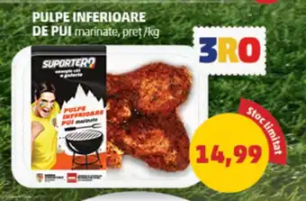 PULPE INFERIOARE DE PUI