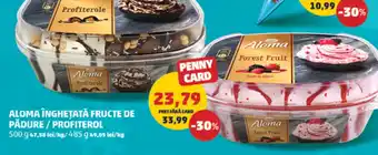 Penny ALOMA ÎNGHEȚATĂ FRUCTE DE PĂDURE / PROFITEROL Ofertă