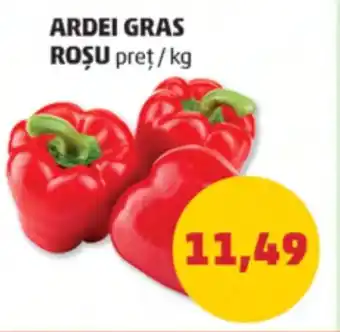 Penny ARDEI GRAS ROŞU Ofertă