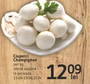 Supeco Ciuperci Champignon Ofertă