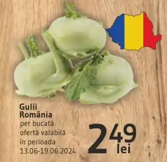 Supeco Gulii România Ofertă