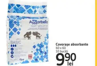 Covorase absorbante