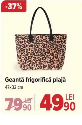 Carrefour Geantă frigorifică plajă 47x32 cm Ofertă