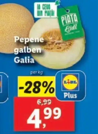 Lidl Pepene galben Galia Ofertă