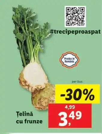 Telinǎ cu frunze