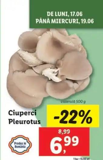 Lidl Ciuperci Pleurotus Ofertă
