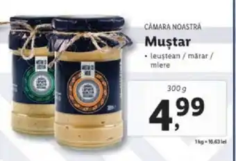 Lidl CÂMARA NOASTRA Muştar Ofertă