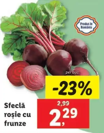 Lidl Sfeclă roşie cu frunze Ofertă