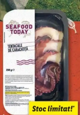 Lidl Tentacule de caracatiţă, prefierte Ofertă
