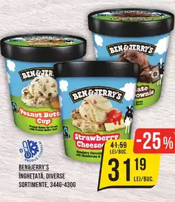 Mega Image BEN&JERRY'S ÎNGHEȚATĂ, DIVERSE SORTIMENTE, 344G-430G Ofertă