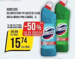 Mega Image DOMESTOS DEZINFECTANT PE BAZĂ DE CLOR, BRIZA MĂRII/PIN/LĂMÂIE, 1L Ofertă