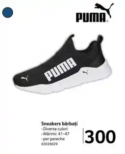 Selgros Sneakers bărbați Ofertă